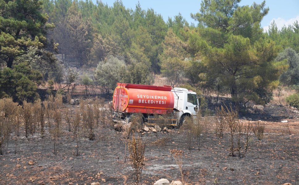 Muğla'daki orman yangını kontrol altına alındı