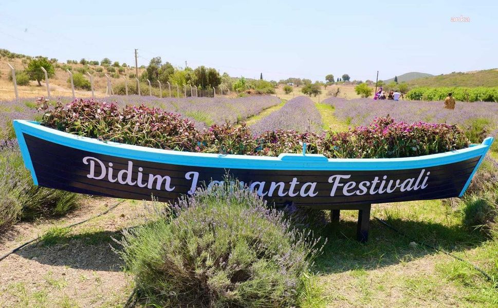 Didim’de Lavanta ve Aromaterapi Festivali 3 Temmuz’da kapılarını açıyor