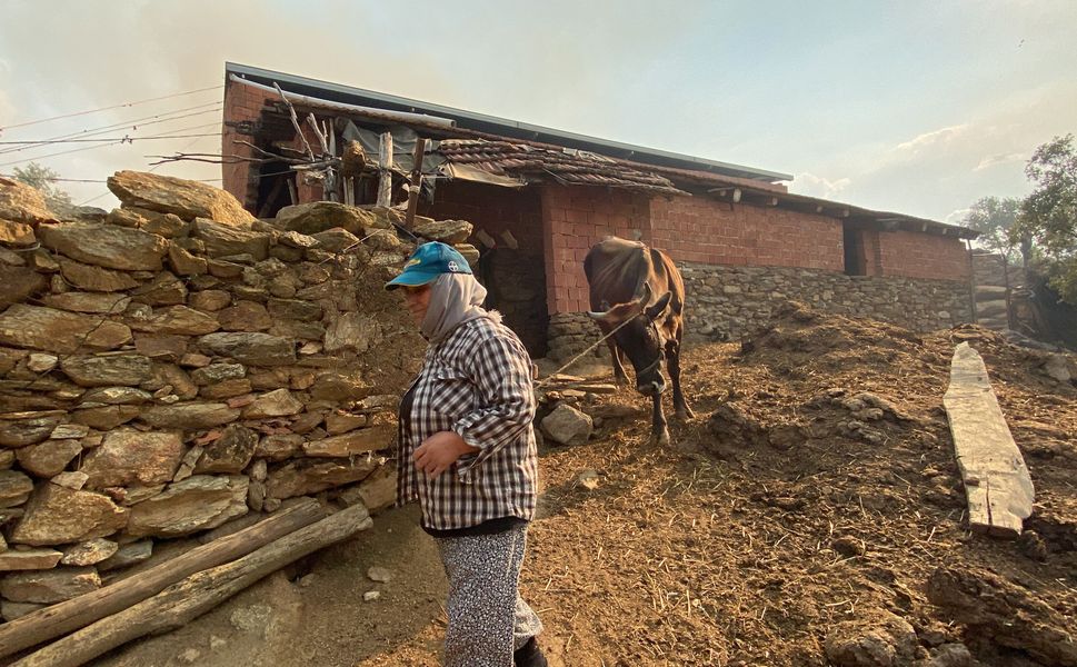 Aydın’da zeytinlik yangını: 20 ev tedbiren tahliye edildi