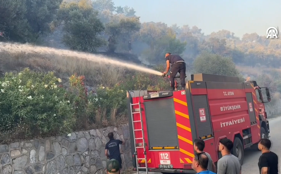 Aydın'da zeytinlik alanda yangın: Müdahale sürüyor
