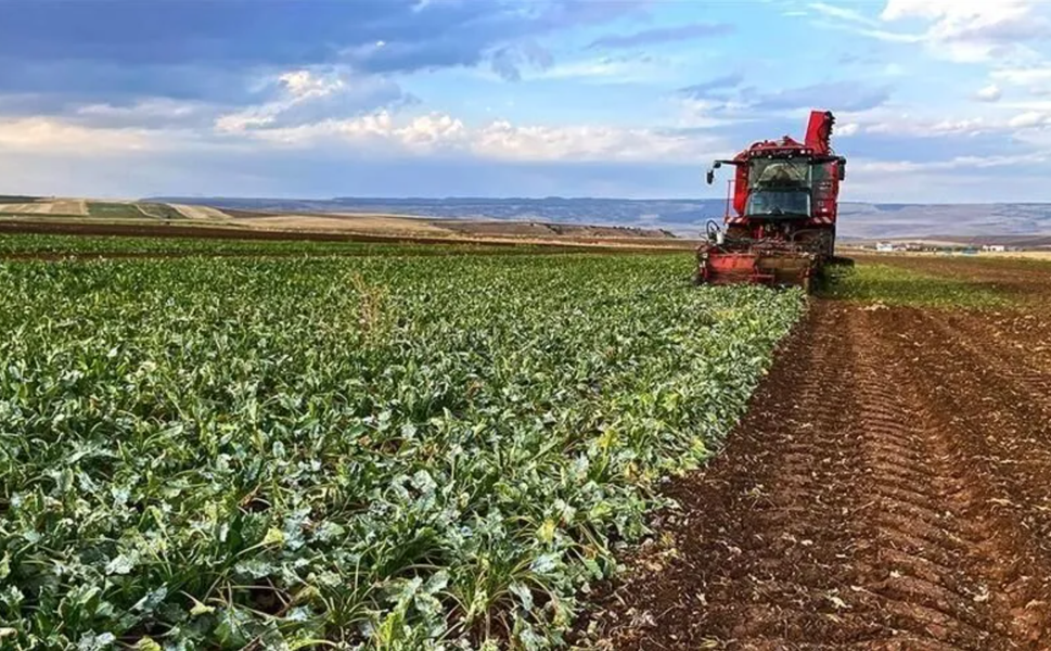 Kadın ve genç çiftçi kredi limiti 5 milyon liraya çıkarılıyor