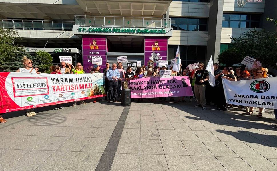 Hayvan hakları savunucularından yasayı iptal çağrısı: Barınaklar ölüm kampı