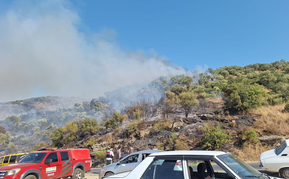 Aydın’da makilik alanda yangın… Havadan ve karadan müdahale edildi