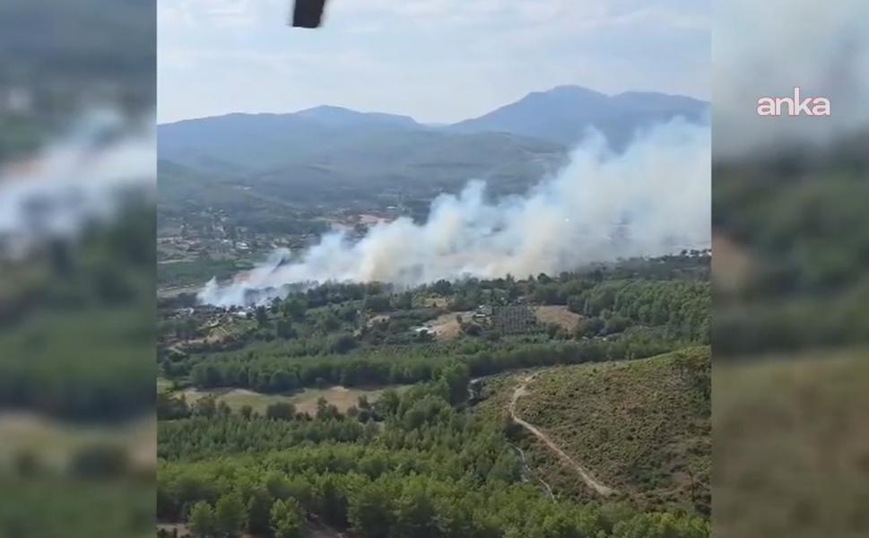 Aydın, Muğla ve Antalya'da orman yangını