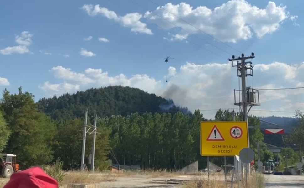 Balıkesir'de iki ilçede çıkan yangınlar ormanlık alana sıçradı