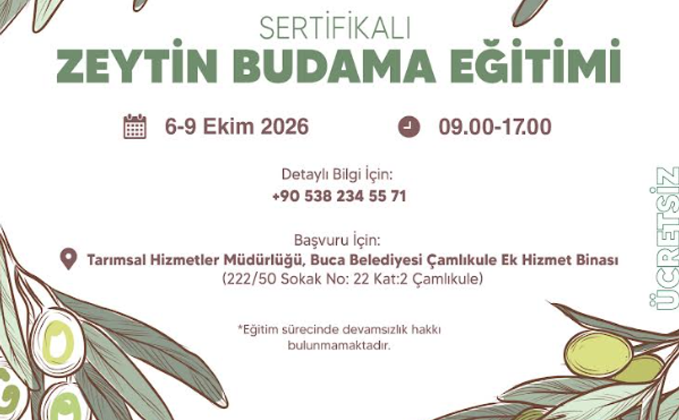 Buca’da üreticiye zeytin budama desteği