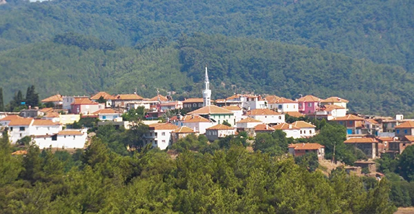 İzmir'de bulunuyor: Seferihisar'da ormanlarla çevrili bir köy