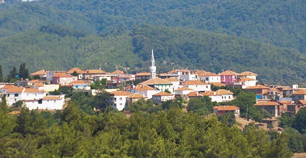 zmir'de bulunuyor: Seferihisar'da ormanlarla evrili bir ky