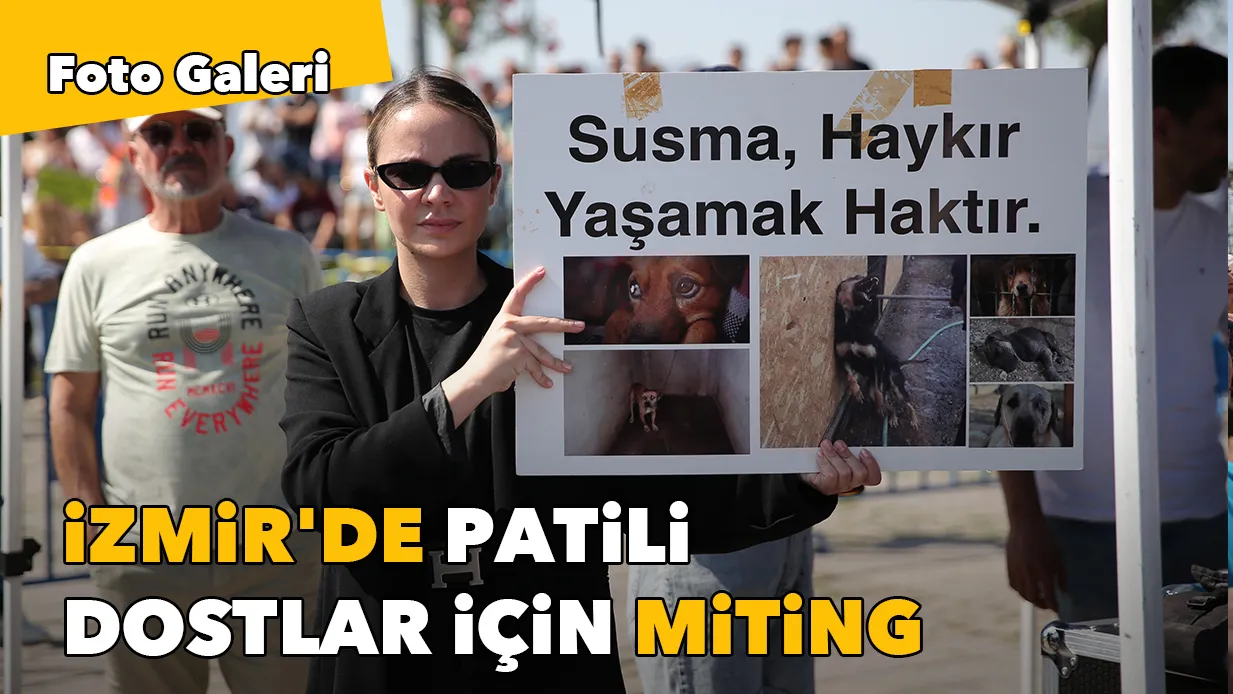 Binlerce kişi Gündoğdu Meydanı’nda: İzmir'de patili dostlar için miting