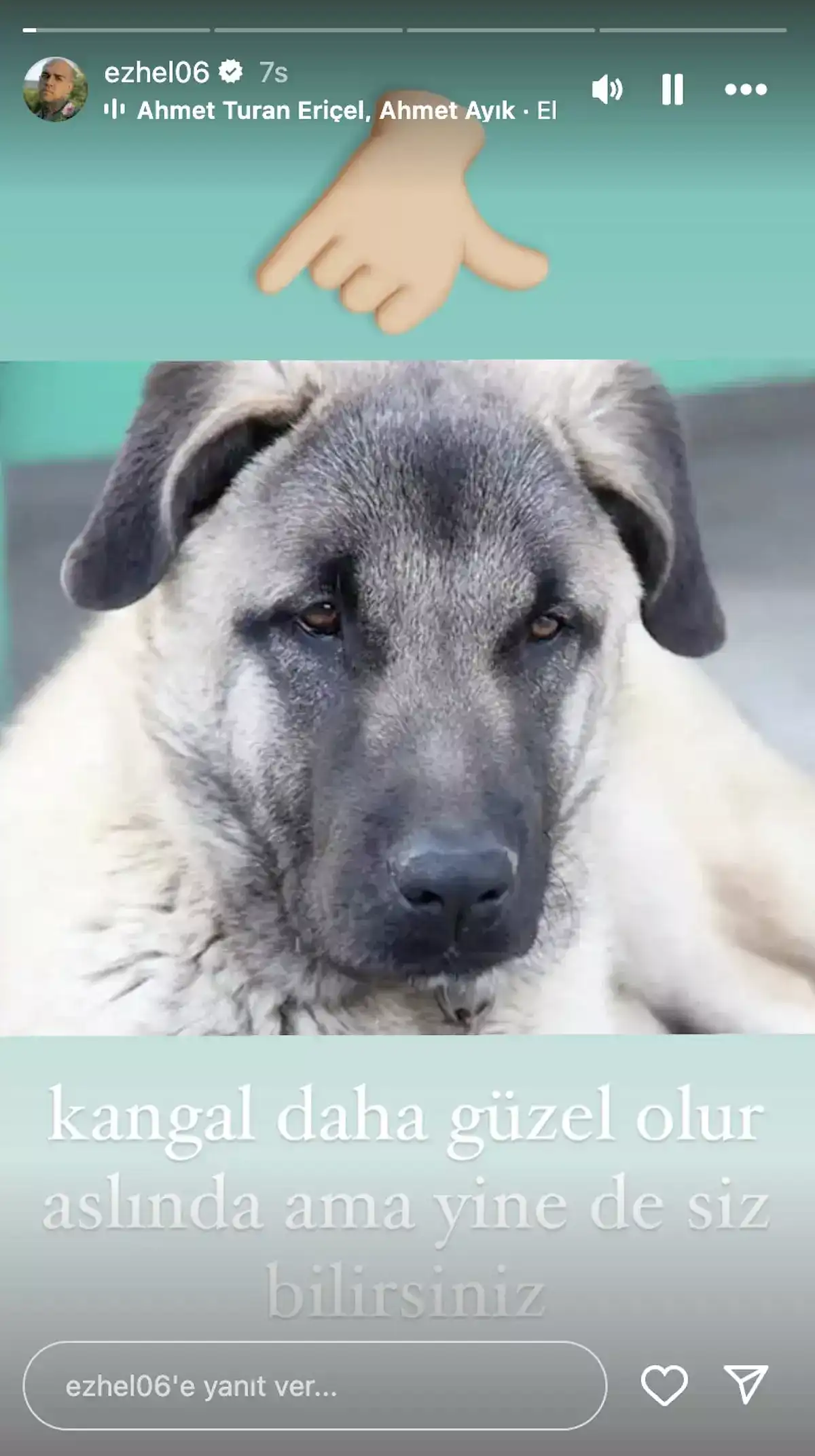 Ezhelden Sivas Kangalı Feat Bozkurt