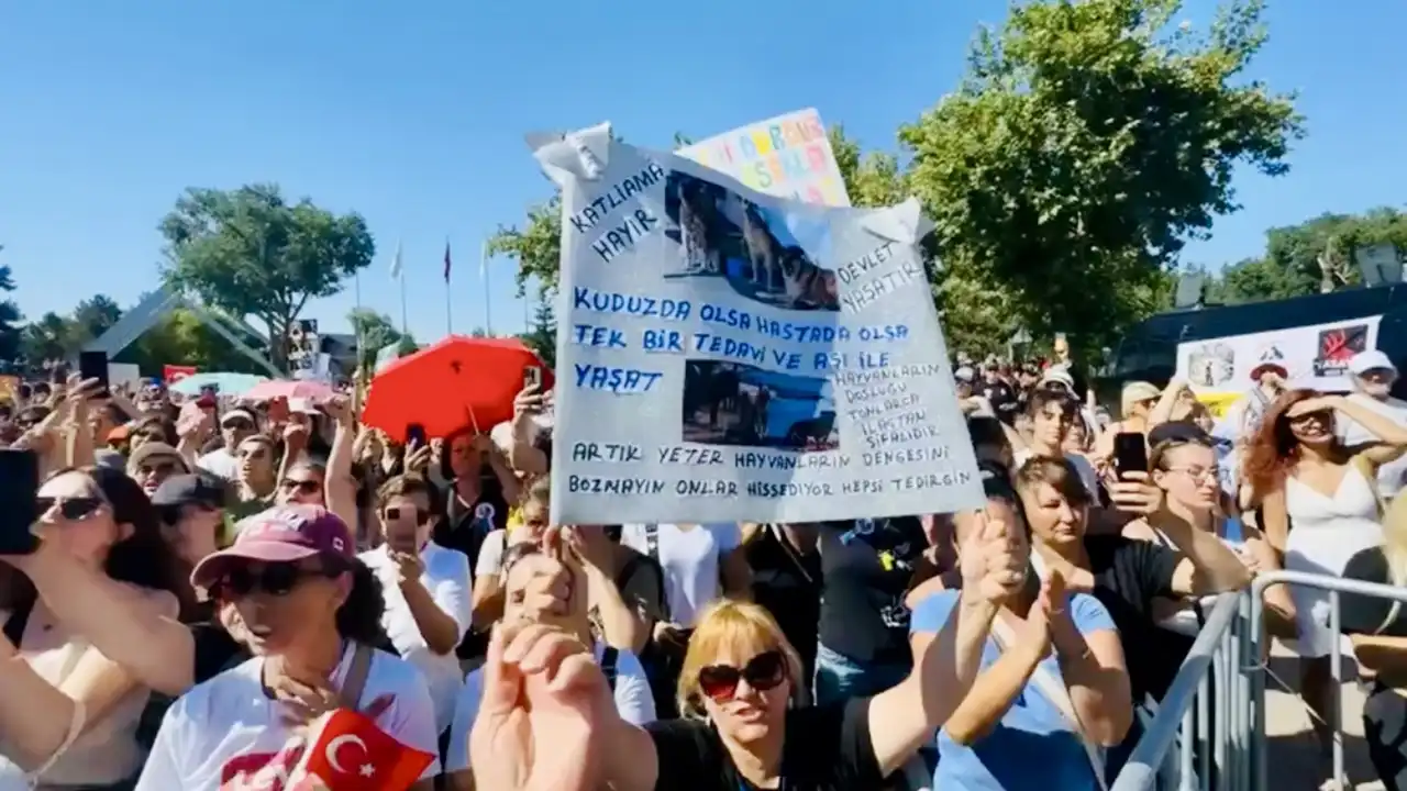 Hayvan Hakarı Ankara Eylem
