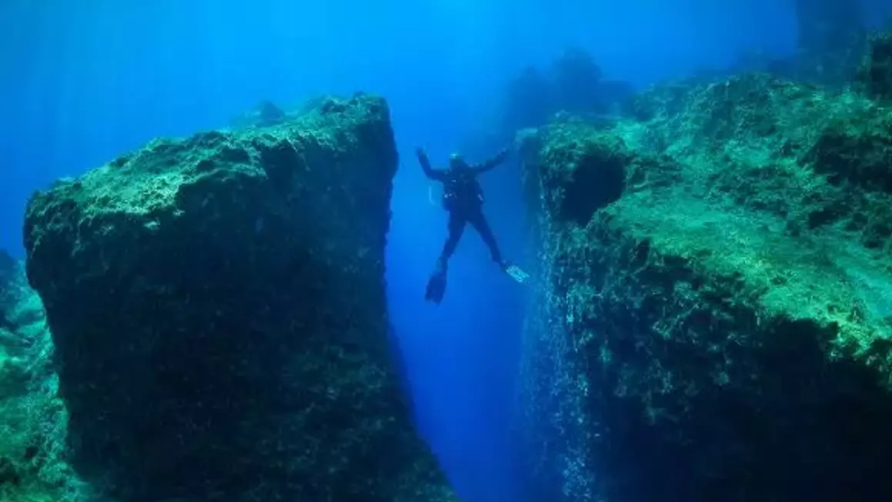 Kaş Uçan Balık Iz Gazete