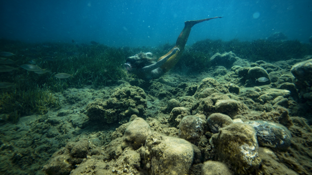 İzmir'in deniz kızları: Su altındaki güzellikleri keşfediyorlar