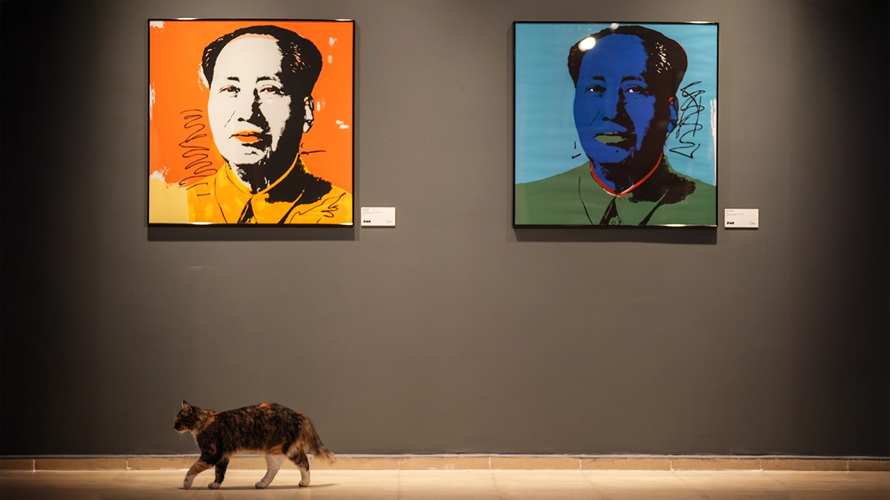 Andy Secki Mao