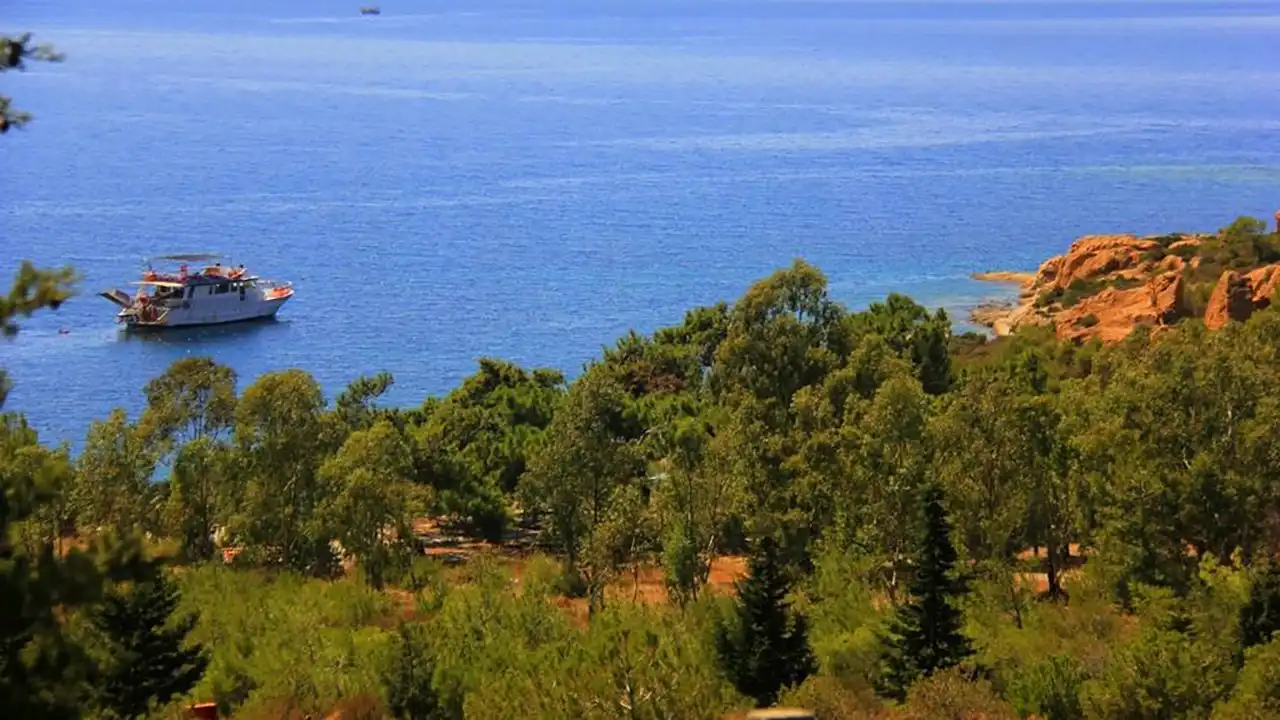 foca-adalari-kapak
