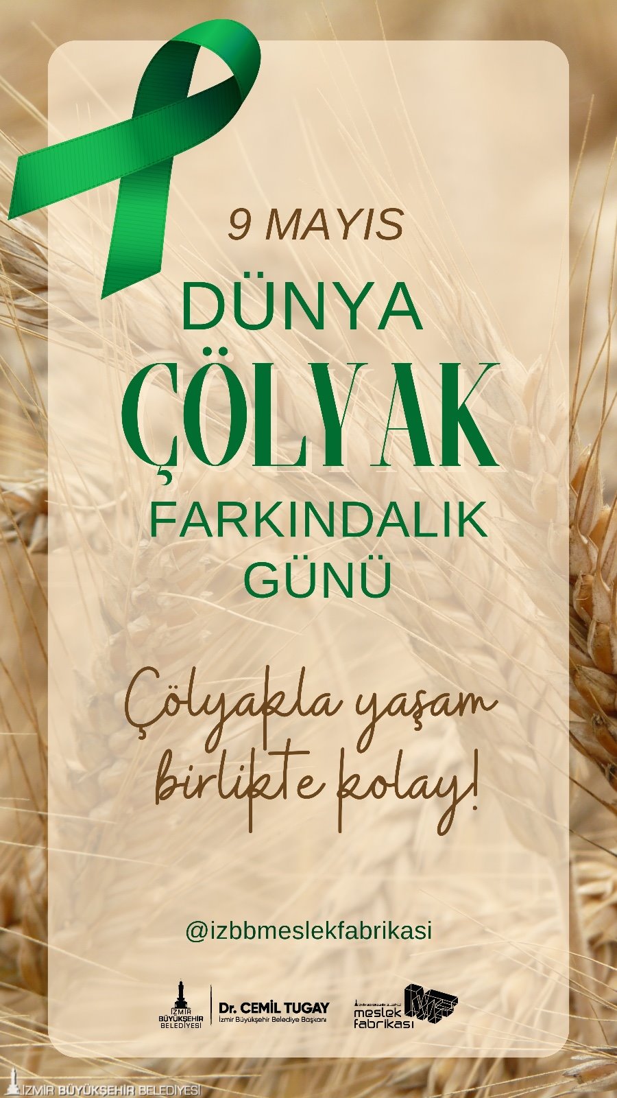 meslek fabrikasında gülitensiz