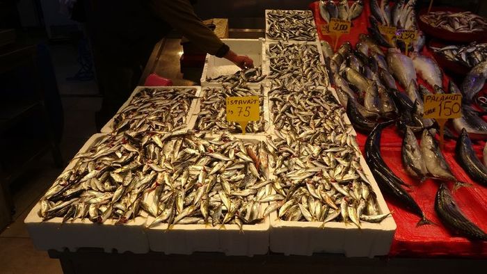 Balik Stoklari Tehlikede Karadenizde 15 Yillik Dusus Goz Korkutuyor (3)