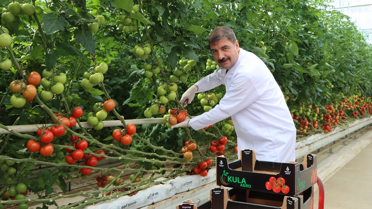 Hikmet Dönmez