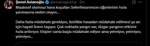 Aslanoğlu-20