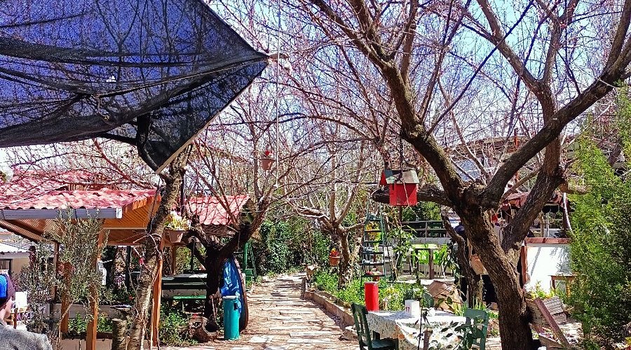 izmirin-gozdesi-nazarkoy-kanyonlari-serin-dereleri-ve-dogal-kafeleriyle-buyuluyor