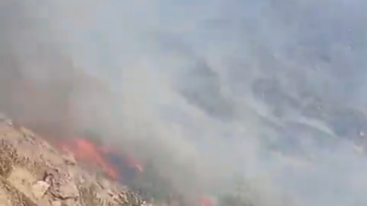 Çiğli’de Orman Yangını Alarmı: Başkan Yıldız’dan Acil Müdahale Çağrısı