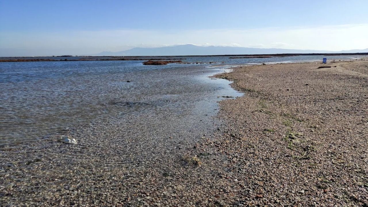 homa-dalyani-1