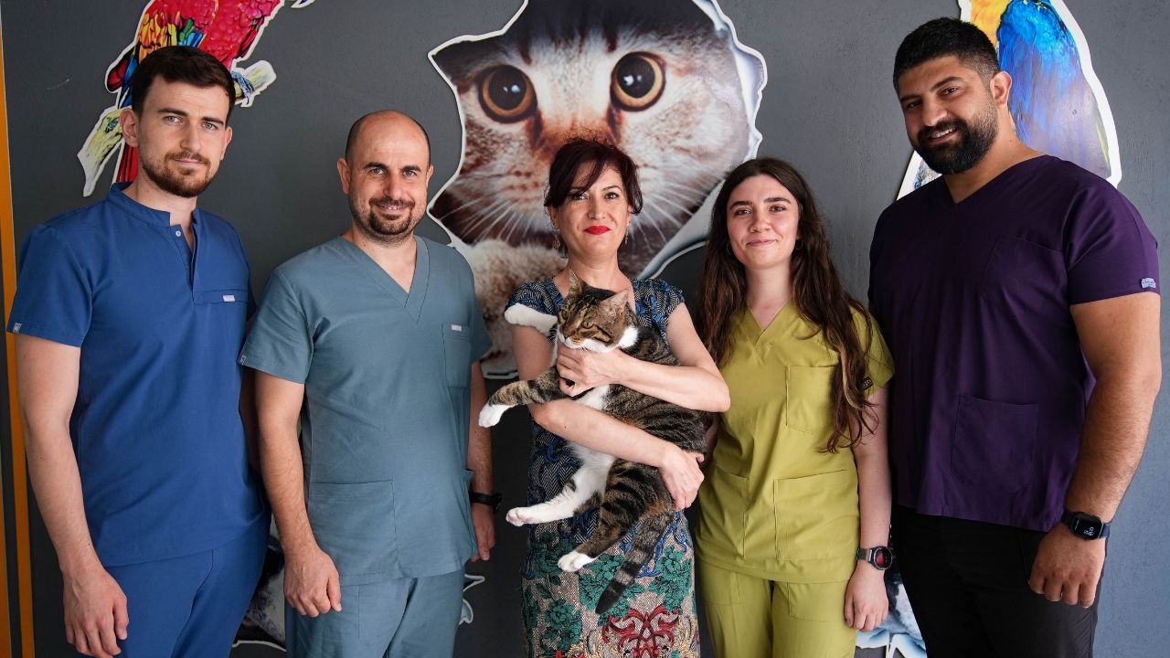 izmir-diyabet-hastasi-kedi-mars-2
