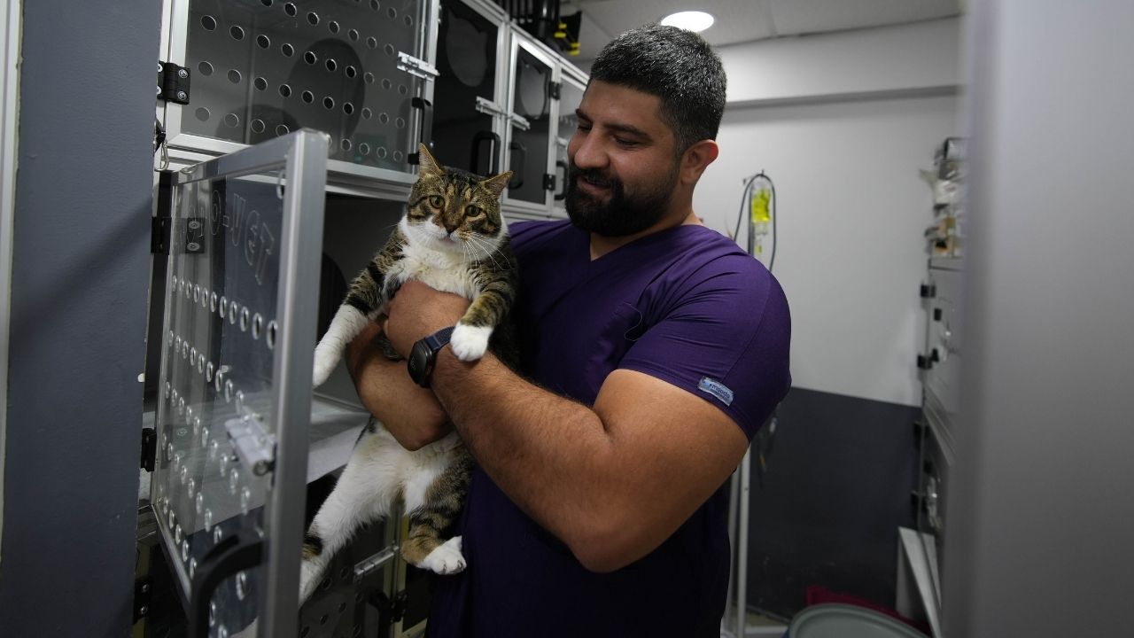 izmir-diyabet-hastasi-kedi-mars-4