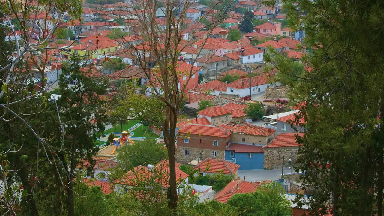 Turkiyeyi Asti Avrupada Un Kazandi Izmirin Domatesiyle Bilinen Sirin Koyu-1