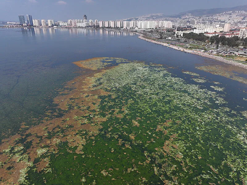 Yaz Geldi Izmir Korfezinde Koku Endisesi Yeniden Basladi Bakanliktan Aciklama