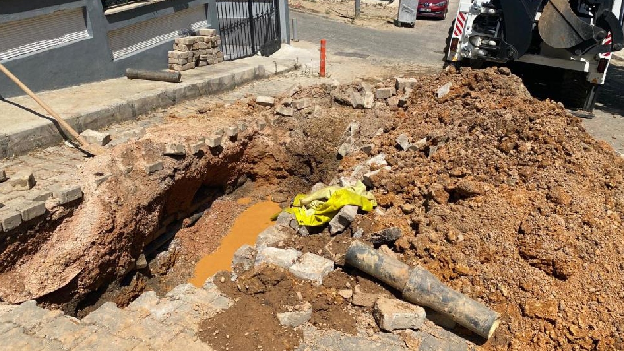 Balçova’da domuzlar arıza alanında görüntülendi