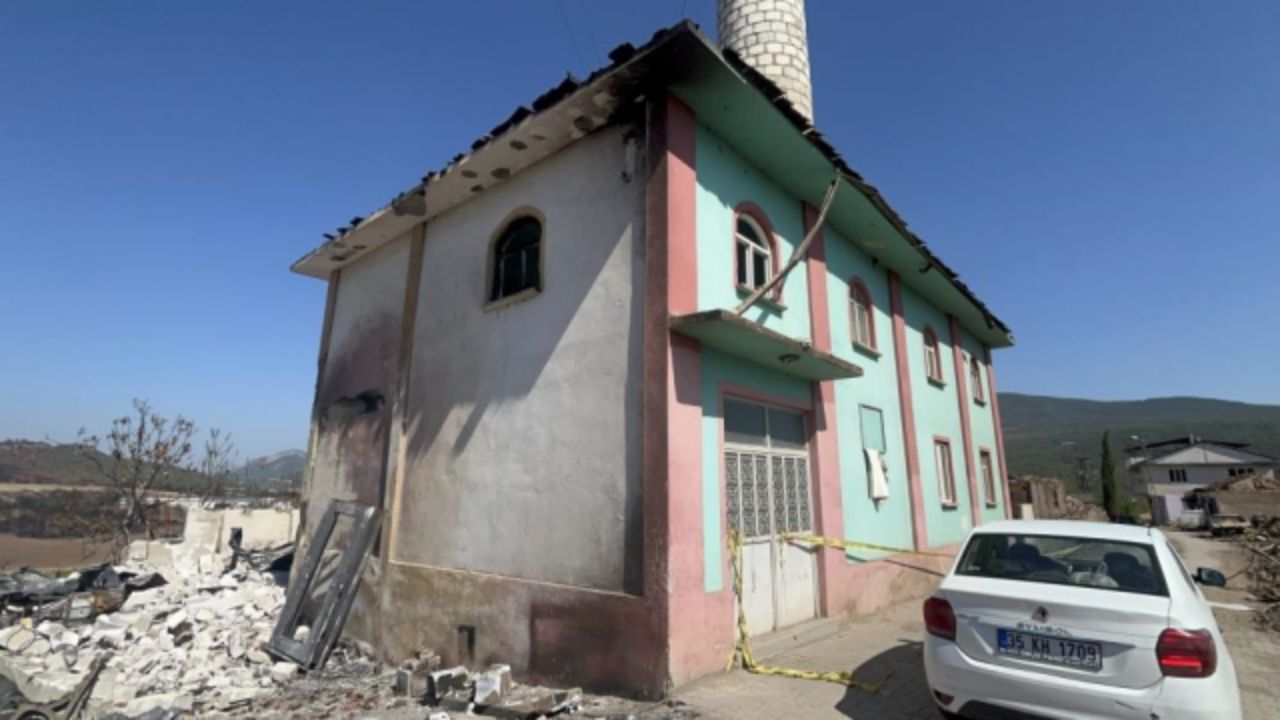 koyun-tamami-kul-oldu-bir-tek-burasi-saglam-kaldi-2
