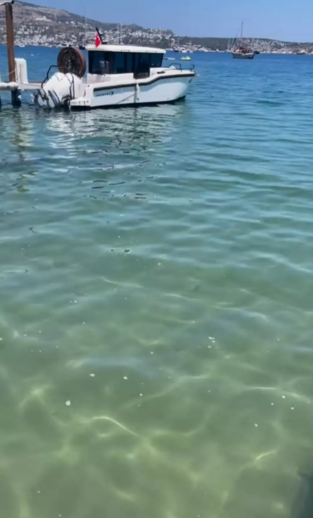 Melek Baykal Tatil Icin Gittigi Bodrumda Isyan Etti Yaziklar Olsun (2)