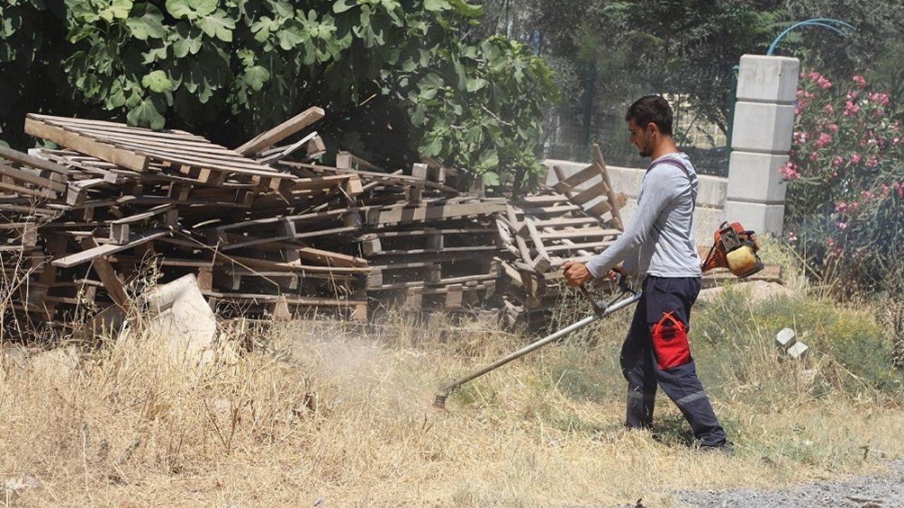 menderes-ot-temizligi-1