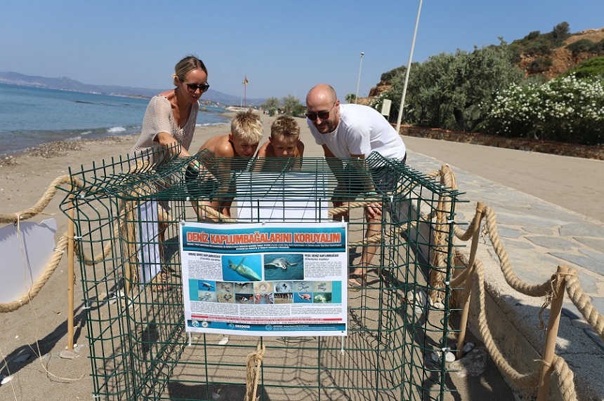 Mendereste Caretta Caretta Surprizi Yumurtalar Guvende