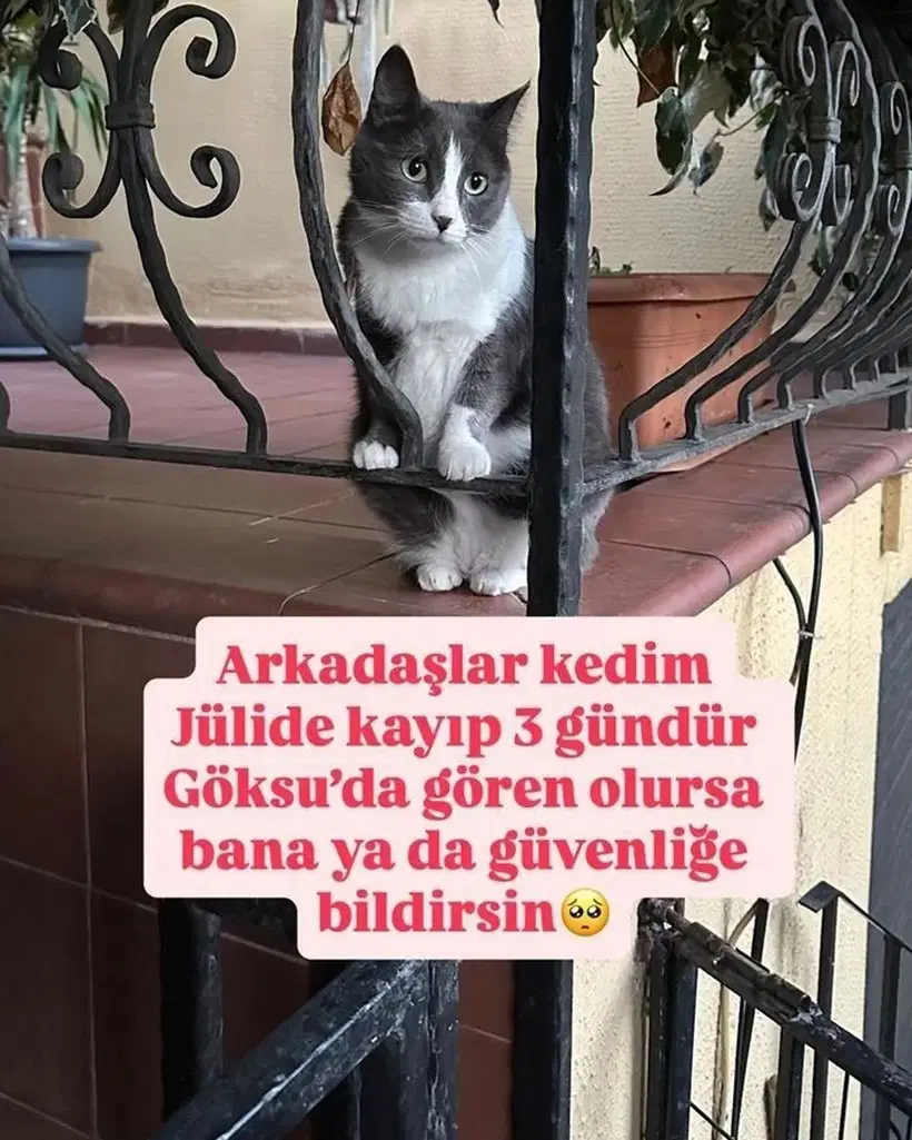 Unlu Sarkicidan Yardim Cagrisi Julideyi Goren Varsa Bana Bildirsin (2)