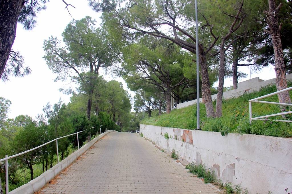 izmirin-ayaklarinizin-altindaki-sirin-koyu-kavun-ve-karpuzun-uretim-merkezi-guzelhisar