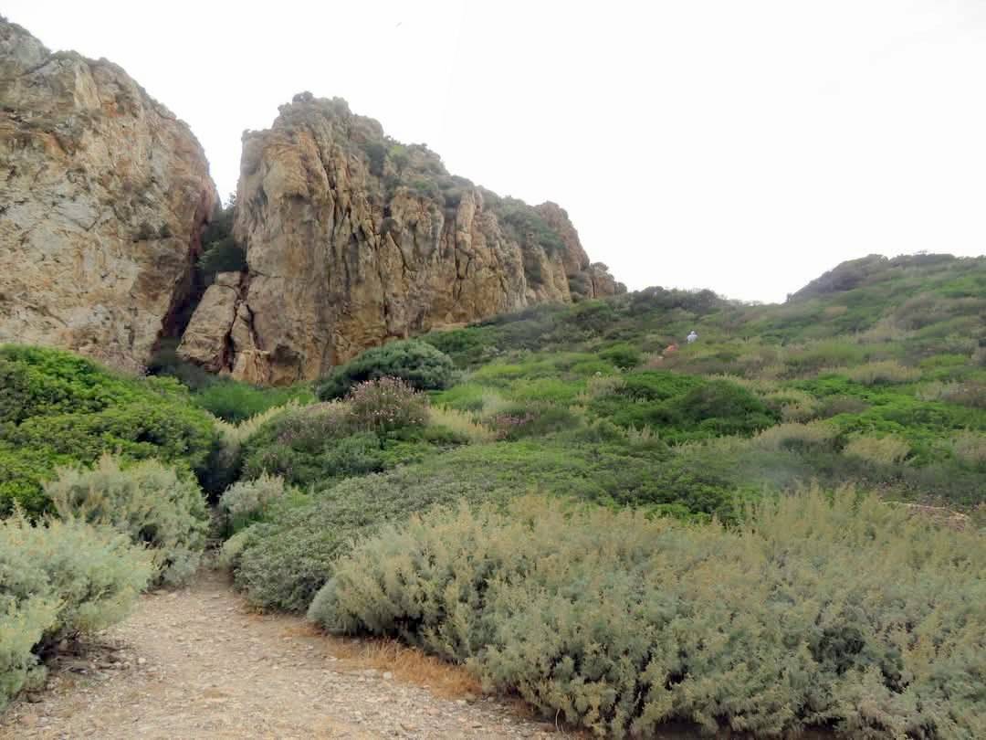izmirin-sakli-adasi-diz-boyu-suda-100-metre-boyunca-ilerleyerek-gidiliyor