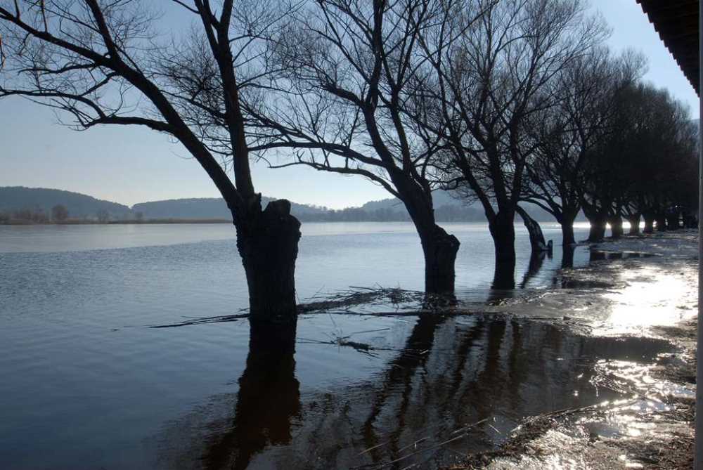 izmire-130-kilometre-uzaklikta-cam-ormanlari-arasinda-serin-bir-cennet