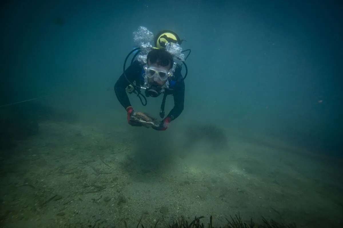 izmirde-tarihi-kesif-su-altinda-5-bin-300-yillik-kalintiya-ulasildi