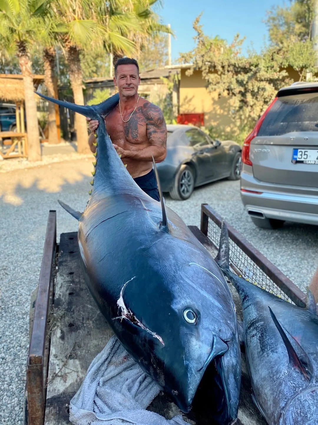 Buyuk Balik Kucuk Baligi Yer Orkinos 250Kg 3Jpg I M Mxwbfm L Em Kz77 X 3O Rx A