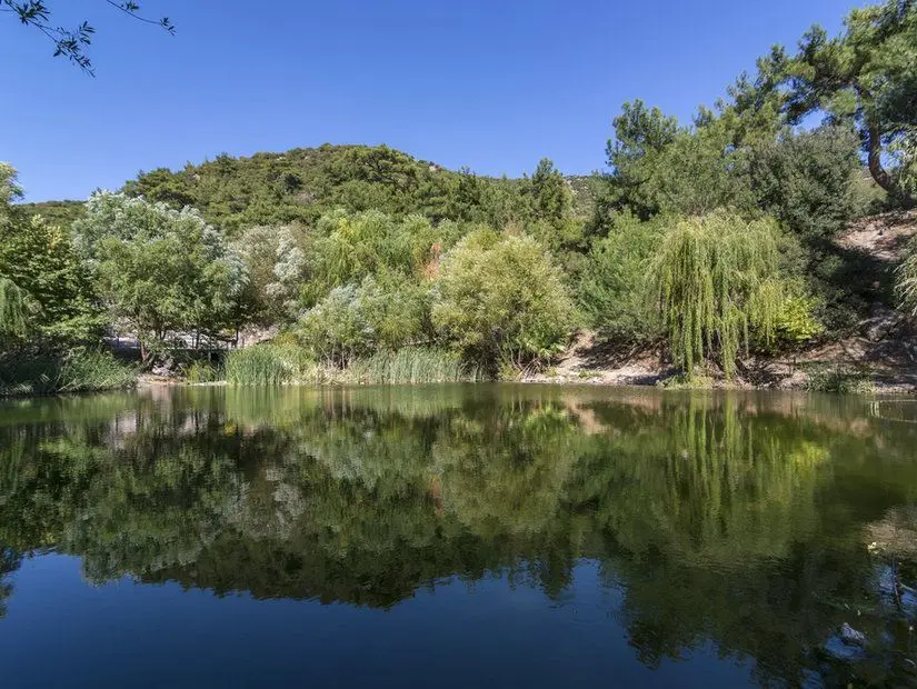 Homeros Vadisi'ne toplu taşıma aracıyla ulaşım sağlanabiliniyor. Bornova merkezden kalkan 365 numaralı ESHOT otobüsü ile yaklaşık 1 saatlik bir yolculuk sonrası ulaşım sağlanabiliniyor. Özel araç ile ise, yaklaşık 20 dakikalık bir yolculukla eşsiz güzelliğe ulaşılabiliniyor.