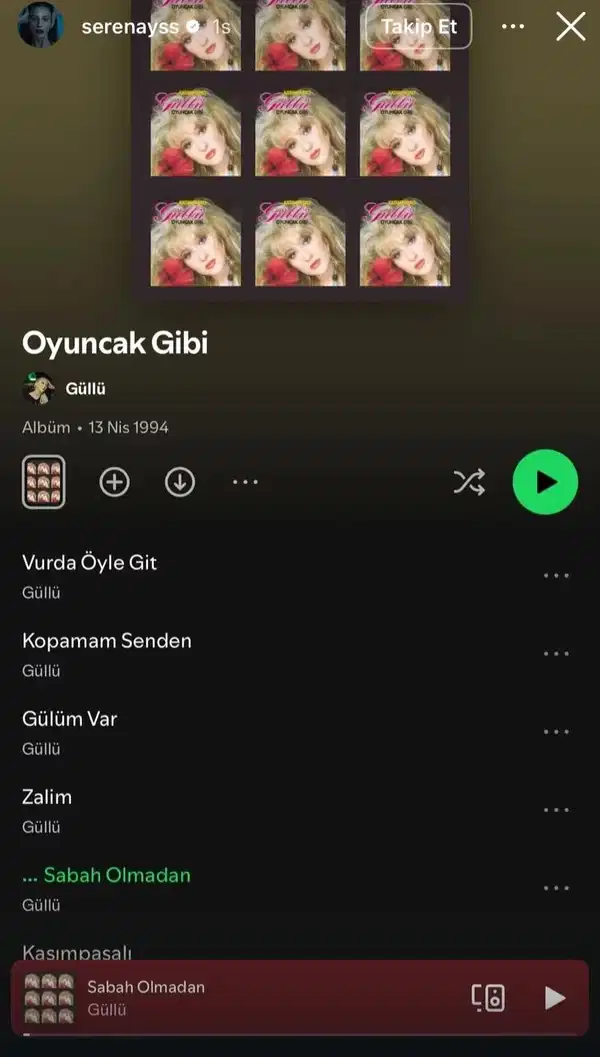 gullu-beni-o-oynasin-demisti-serenay-sarikayadan-paylasim-geldi