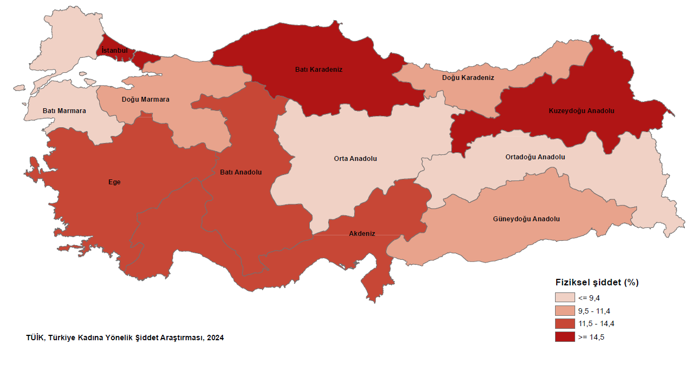 tuik-acikladi-fiziksel-siddet-en-cok-kuzeydogu-anadoluda-goruldu-3