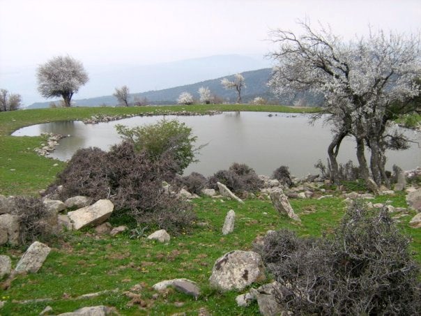 izmirde-bir-mahalleye-sit-karari-koruma-altina-alindi