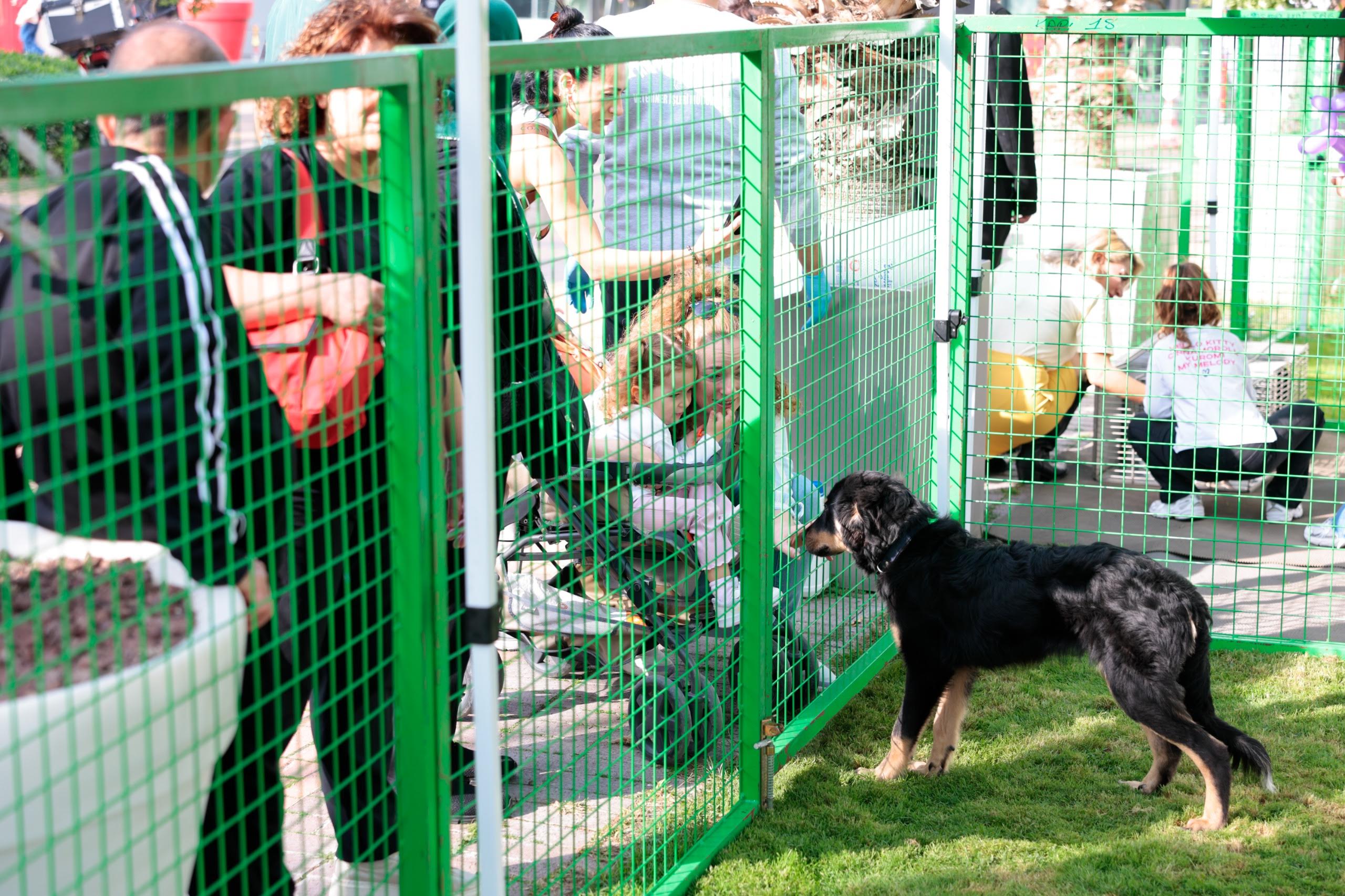 Konak’ta engelli can dostlar yeni yuvalarına kavuştu