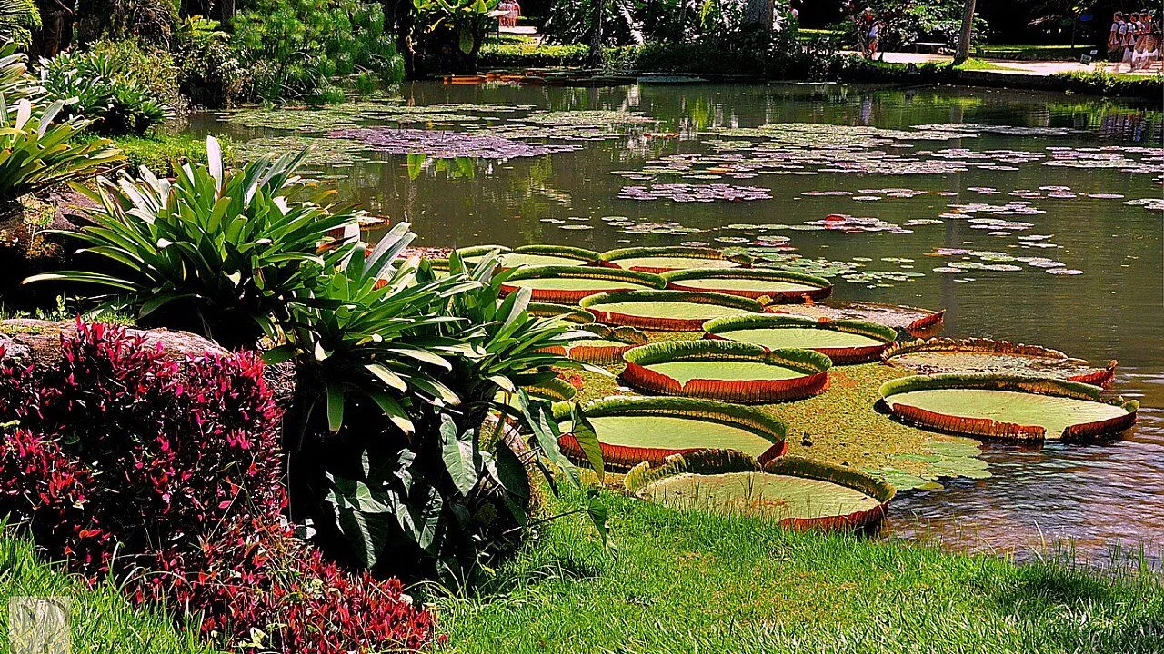 Sessizlik ve huzur arayanlar için ideal: İzmir’in sakin köşeleri