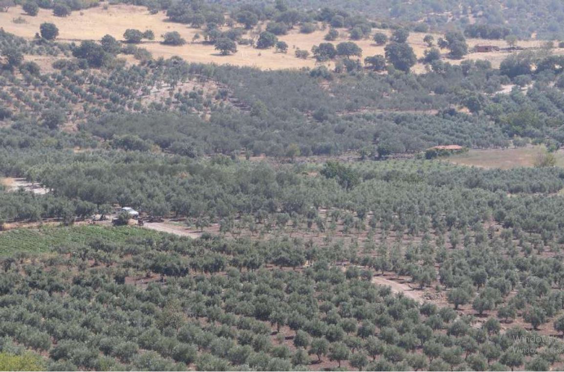 İzmir’de 19 mahalleyi kapsıyor: Orman ve tarım alanına DRES adımı!