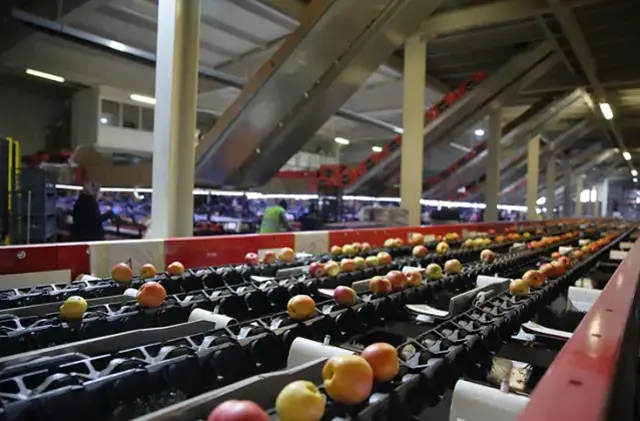 25 ülkeye ihracat yapıyordu: Türkiye'nin gıda devi iflas bayrağını çekti!