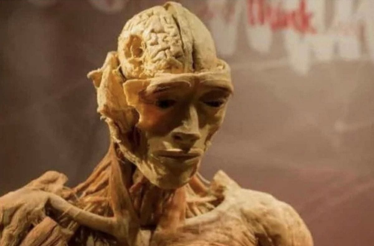 2705D942394B4808Df7881Da826C1C